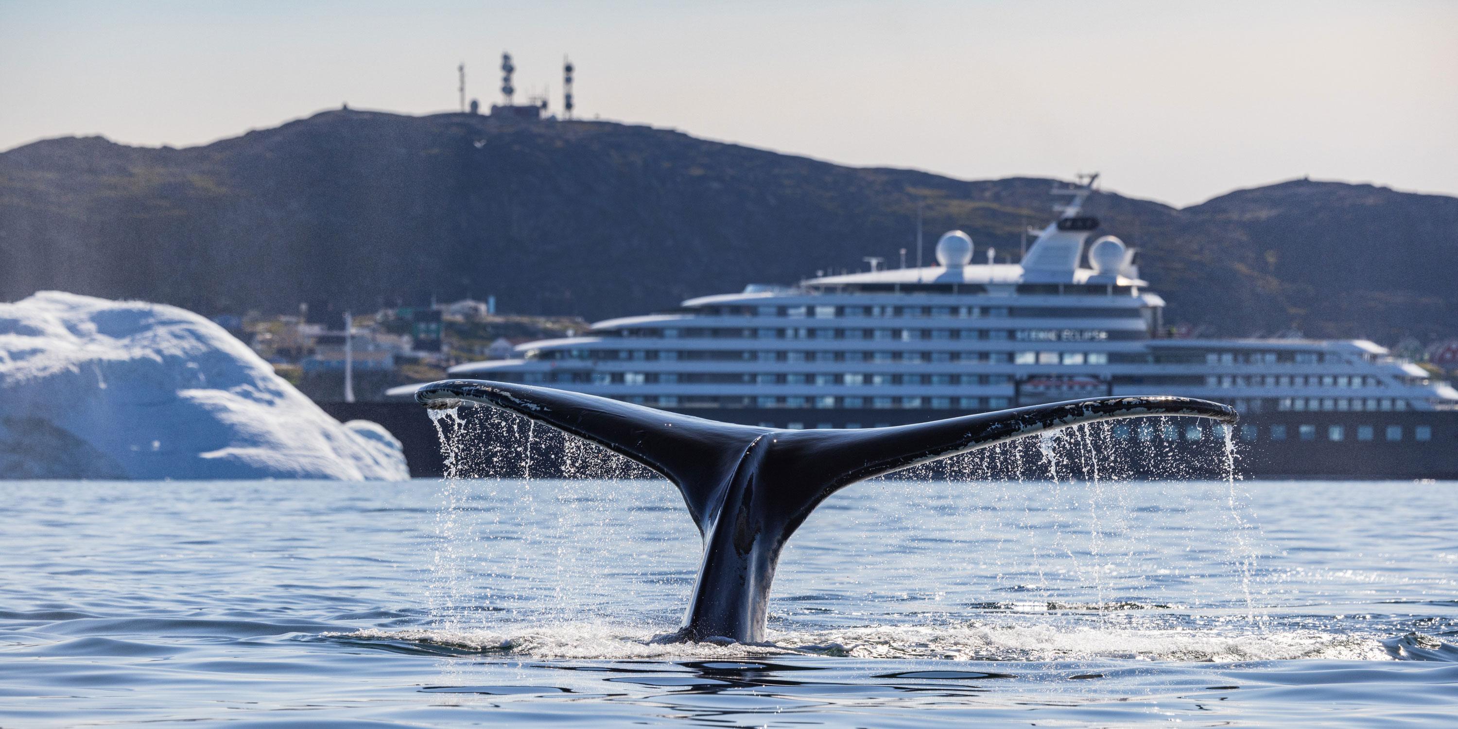 Your Next Great Escape Awaits